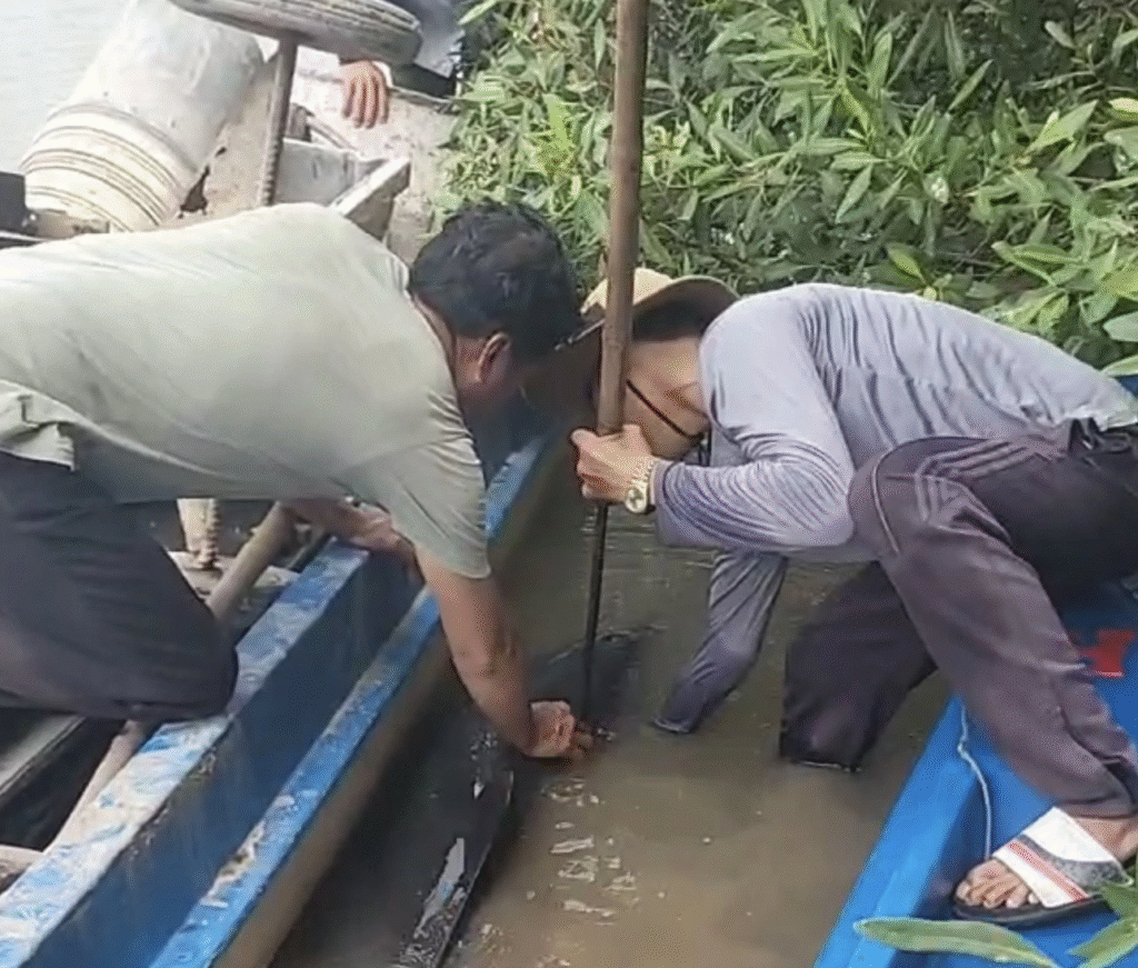 Ngư dân Cà Mau giải cứu cá heo bị chĩa sắt đâm trên sông Gành Hào